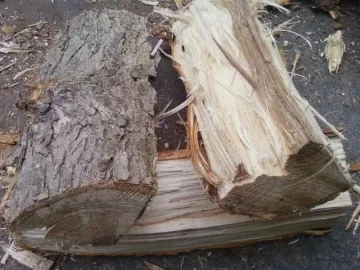 [Hearth.com] Hardwood ID?