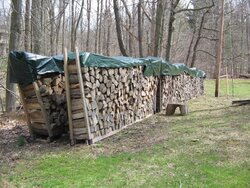 My wood stacks in addition to my Friday scrounge.