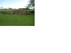First wood stack for next year (picture)