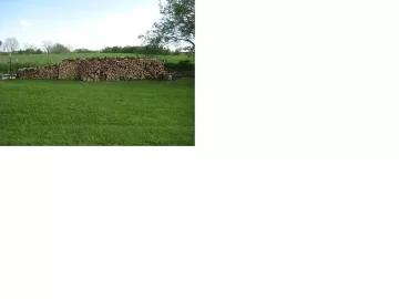 [Hearth.com] First wood stack for next year (picture)