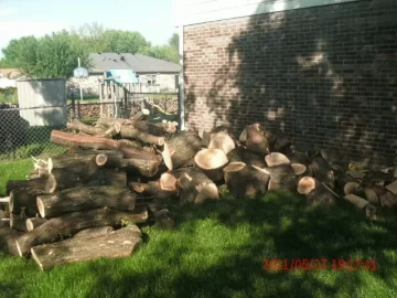 [Hearth.com] free locust tree + silver maple = 22 ton huskie log splitter "pics added"