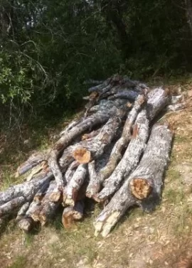[Hearth.com] Score!  Widow Lady Neighbor Strikes Again (edited for pics)
