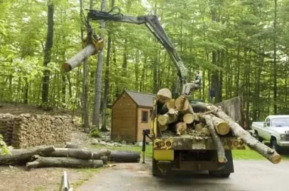 [Hearth.com] Don't be afraid to ask for free wood from a tree service and you might get a load like this!