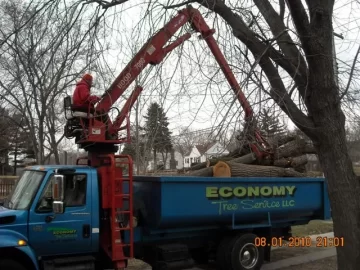 [Hearth.com] Don't be afraid to ask for free wood from a tree service and you might get a load like this!