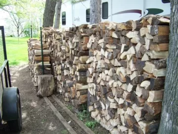 [Hearth.com] How Much Wood Do you Think? (Update With Pictures)