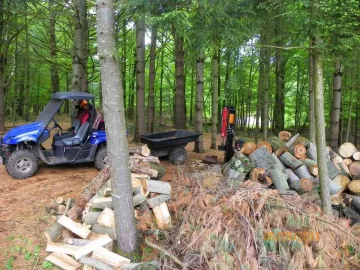 [Hearth.com] Splitting & Stacking this winters haul.