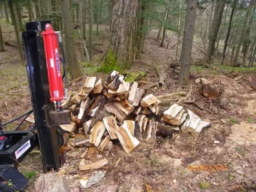 [Hearth.com] Before the Beech