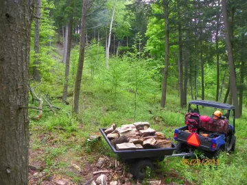 [Hearth.com] Before the Beech