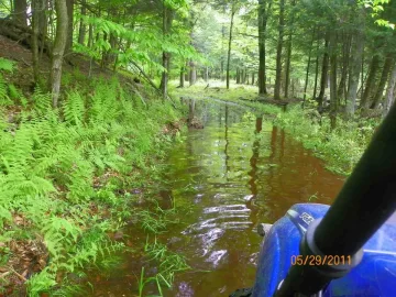 [Hearth.com] Water and a Dead Beech
