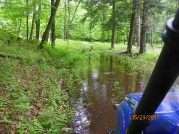 [Hearth.com] Water and a Dead Beech