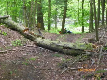 [Hearth.com] Water and a Dead Beech