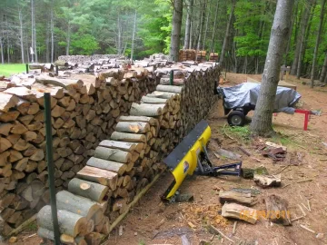 [Hearth.com] Sugar Maple & Beech Up!