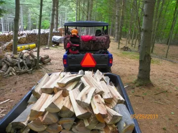 [Hearth.com] Sugar Maple & Beech Up!