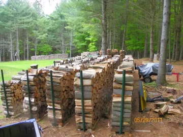 [Hearth.com] Sugar Maple & Beech Up!