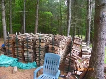 [Hearth.com] Sugar Maple & Beech Up!