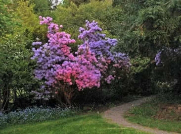 [Hearth.com] Spring colors