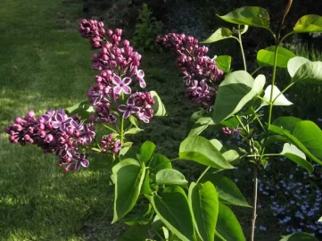 [Hearth.com] Spring colors