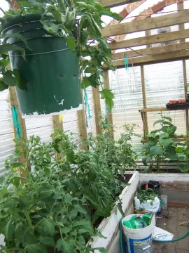 [Hearth.com] Greenhouse update pics