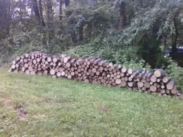 [Hearth.com] Not to shabby (score)