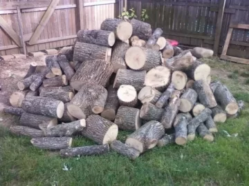 [Hearth.com] Not to shabby (score)