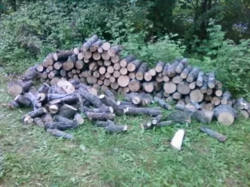 [Hearth.com] Not to shabby (score)