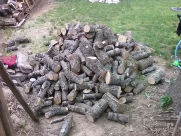 [Hearth.com] Not to shabby (score)