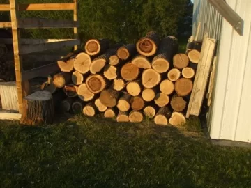 [Hearth.com] listening to mother nature!