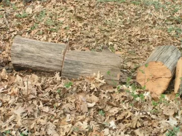 [Hearth.com] Have you ever scrounged field wood?