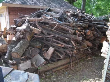[Hearth.com] Should we store wood in the house?