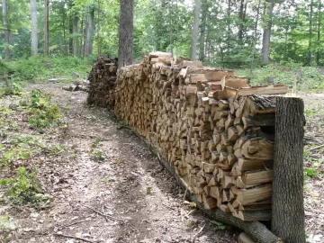 [Hearth.com] New Member Here...