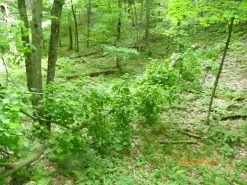 [Hearth.com] Blow Down Part 2