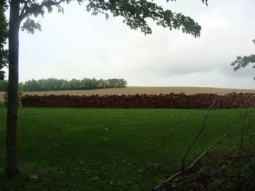 [Hearth.com] got most of my wood out just in time