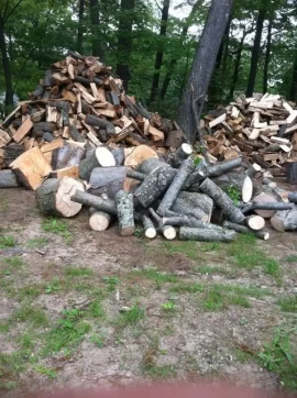 [Hearth.com] been a busy week