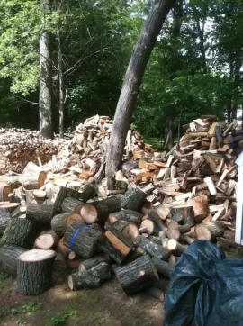 [Hearth.com] been a busy week