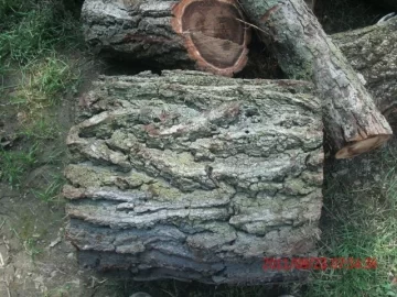 [Hearth.com] another score, Need Help with ID Thanks