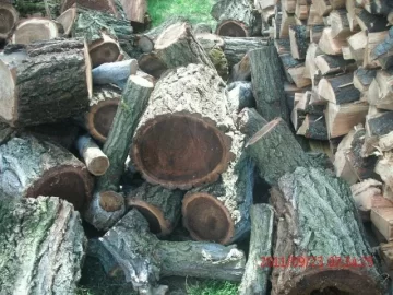 [Hearth.com] another score, Need Help with ID Thanks