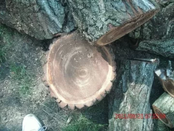 [Hearth.com] another score, Need Help with ID Thanks