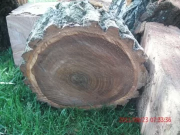 [Hearth.com] another score, Need Help with ID Thanks