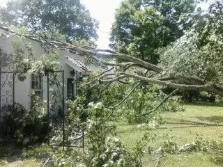 [Hearth.com] Estimate for tree removal?