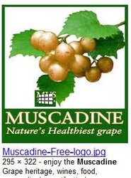 MuscadineGrapes.jpg