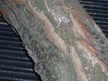 [Hearth.com] Need help with an ID(with pics)