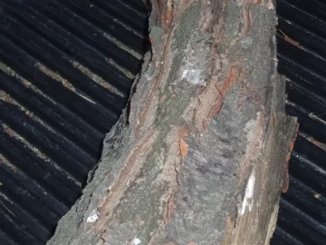 [Hearth.com] Need help with an ID(with pics)
