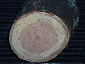 [Hearth.com] Need help with an ID(with pics)