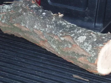 [Hearth.com] Need help with an ID(with pics)