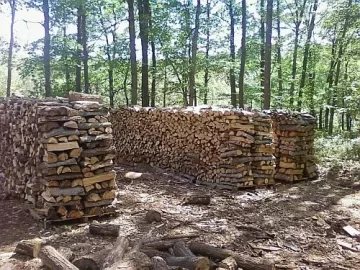 [Hearth.com] So far this year