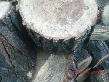 [Hearth.com] Need help with an ID(with pics)