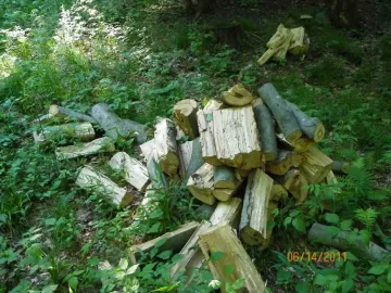 [Hearth.com] Cherry Above the Swamp Done!