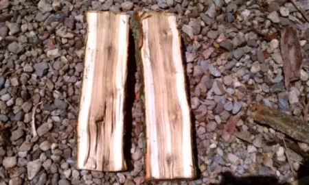 [Hearth.com] wood id please help