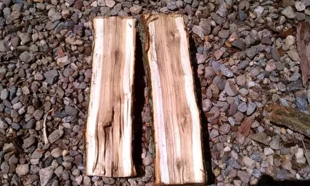 [Hearth.com] wood id please help