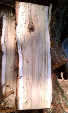 [Hearth.com] wood id please help
